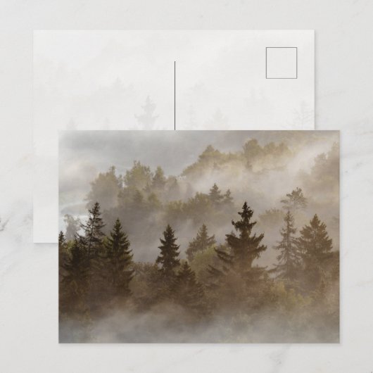 Misty morning at the valley briefkaart (Voorkant / Achterkant)