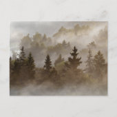 Misty morning at the valley briefkaart (Voorkant)