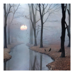 Misty Morning Foto Uitbreiding Foto Afdruk