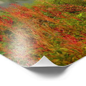 Misty Morning in Kenmore Foto Afdruk (Hoek)