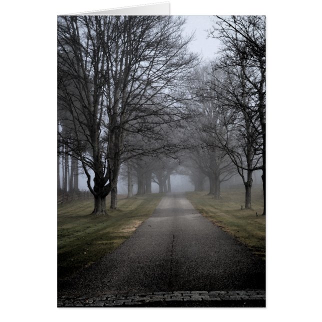 Misty Morning in Maine (Voorkant)