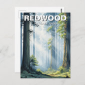 Misty Morning in Redwood National Park Briefkaart (Voorkant / Achterkant)