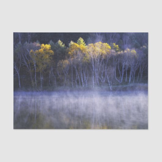 Misty Morning Lake Tissuepapier (Voorkant)
