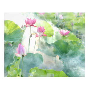 Misty Morning Lotus Foto Afdruk