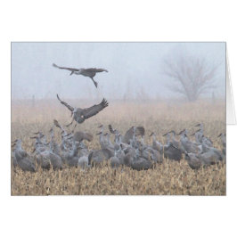 Misty Morning Nebraska Landing