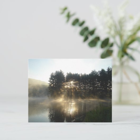 Misty Morning Sunrise Allegheny State Park Briefkaart (Staand voorkant)