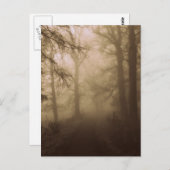 Misty Morning Walk in de Bossen - Foto Briefkaart (Voorkant / Achterkant)