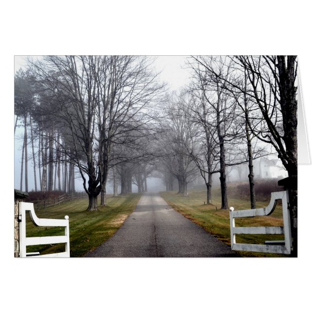 Misty Morning Welkom (Voorkant Horizontaal)