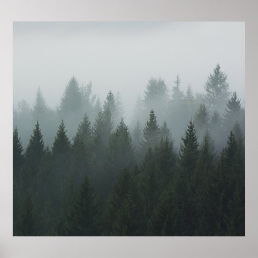 Misty Mountain Forest herfstmist Poster (Voorkant)
