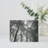 Misty Mountains briefkaart (Staand voorkant)