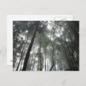 Misty Mountains briefkaart (Voorkant / Achterkant)