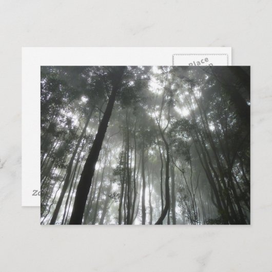 Misty Mountains briefkaart (Voorkant / Achterkant)