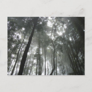 Misty Mountains briefkaart