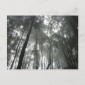 Misty Mountains briefkaart (Voorkant)