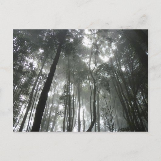 Misty Mountains briefkaart (Voorkant)