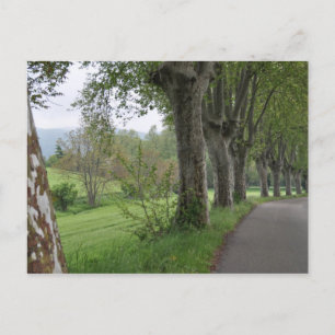 Misty ochtend in Provence Briefkaart