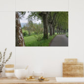 Misty ochtend in Provence print (Keuken)