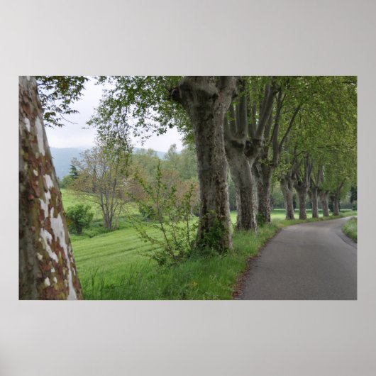 Misty ochtend in Provence print (Voorkant)