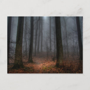 Misty Path naar Flat Top Mountain Briefkaart