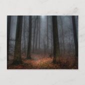 Misty Path naar Flat Top Mountain Briefkaart (Voorkant)