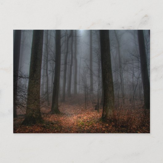 Misty Path naar Flat Top Mountain Briefkaart (Voorkant)