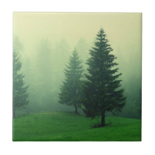 Misty Pine Forest Tegeltje