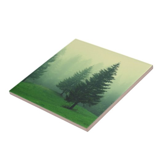 Misty Pine Forest Tegeltje (Zijkant)