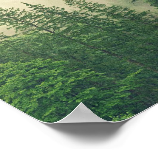 Misty Pine Forest Trees Custom Keepomwille Poster (Hoek)