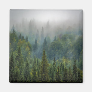 Misty pine trees forest landschap magneet