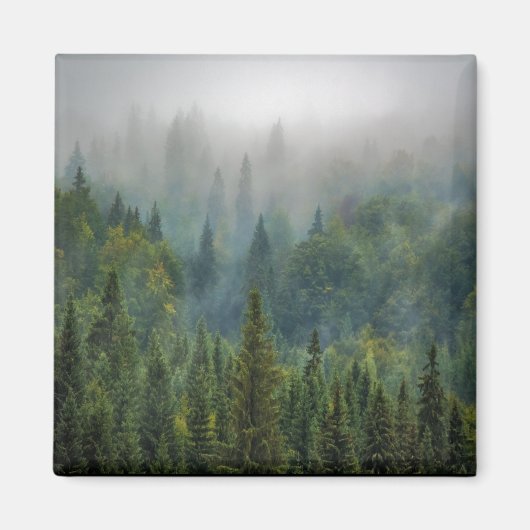 Misty pine trees forest landschap magneet (Voorkant)