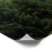 Misty pine trees forest landschap poster (Hoek)