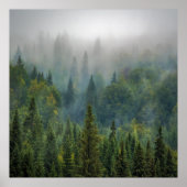 Misty pine trees forest landschap poster (Voorkant)