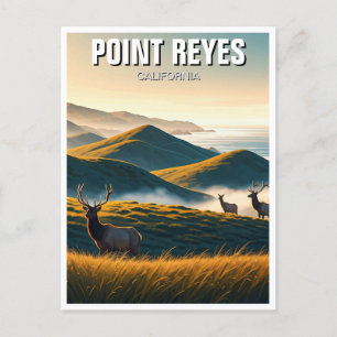 Misty Point Reyes National Seashore Elk Briefkaart