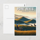 Misty Point Reyes National Seashore Elk Briefkaart (Voorkant / Achterkant)