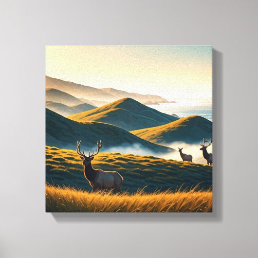 Misty Point Reyes National Seashore Elk Canvas Afdruk (Voorkant)