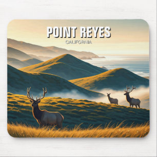 Misty Point Reyes National Seashore Elk Muismat