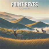 Misty Point Reyes National Seashore Elk Sticker (Voorkant)
