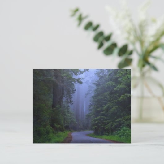 Misty Redwood National Park Briefkaart (Staand voorkant)