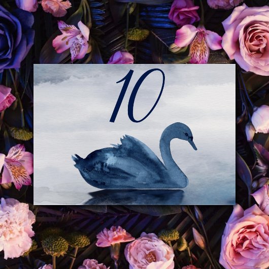 Misty Reflections | Ontvangst van het meer Dusty B Kaart