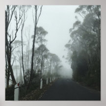 Misty road up kunanyi / Mt Wellington Tasmanië