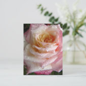 Misty Roos Briefkaart (Staand voorkant)