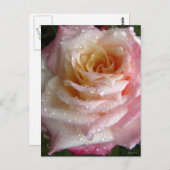 Misty Roos Briefkaart (Voorkant / Achterkant)