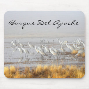 Misty Sandhill Cranes, Bosque del Apache Briefkaar Muismat