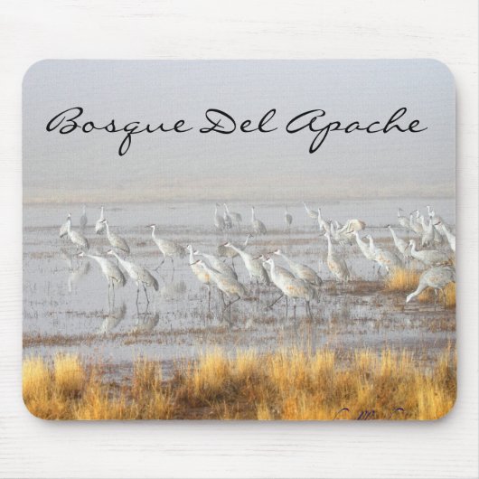 Misty Sandhill Cranes, Bosque del Apache Briefkaar Muismat (Voorkant)
