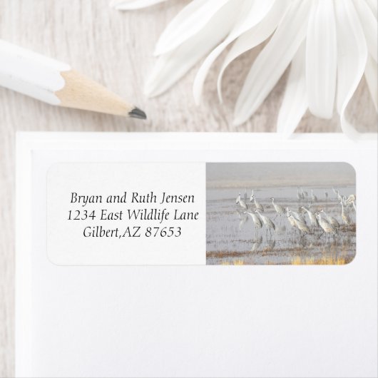 Misty Sandhill Cranes Etiket (Insitu)