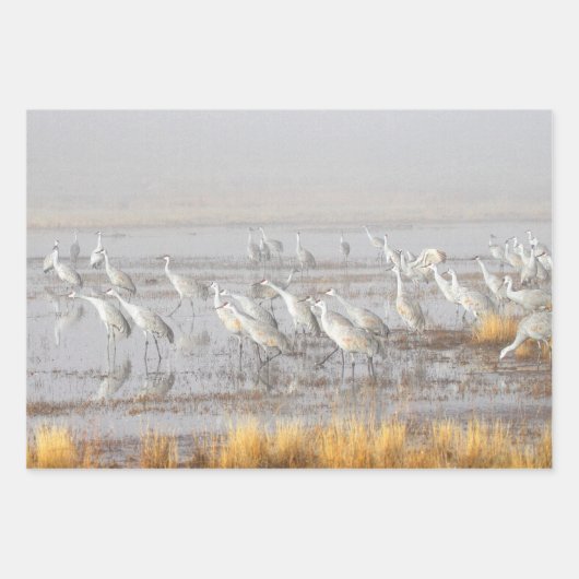 Misty Sandhill Cranes Inpakpapier Vel (Voorkant 2)
