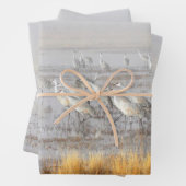 Misty Sandhill Cranes Inpakpapier Vel (In situ)