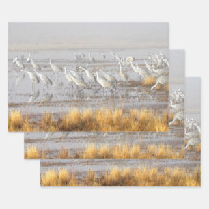 Misty Sandhill Cranes Inpakpapier Vel