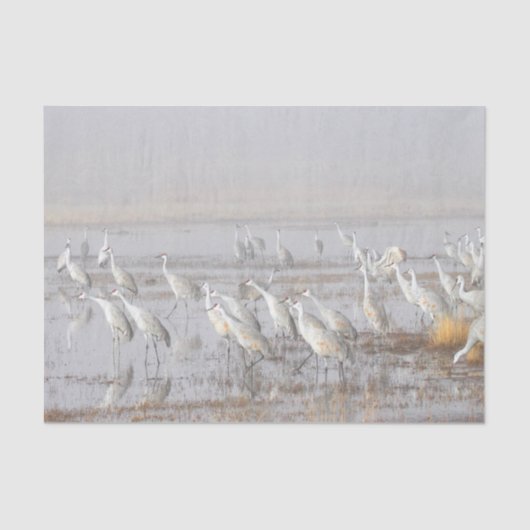 Misty Sandhill Cranes Tissuepapier (Voorkant)