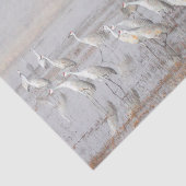 Misty Sandhill Cranes Tissuepapier (Detail)